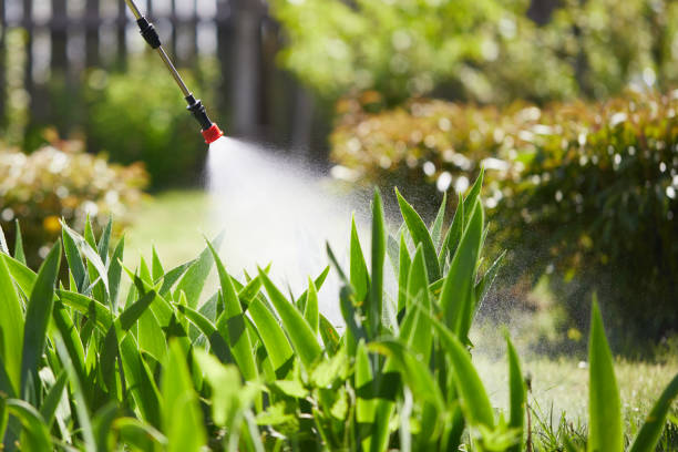 24/7 Emergency Termite Control experts in Wellton, AZ